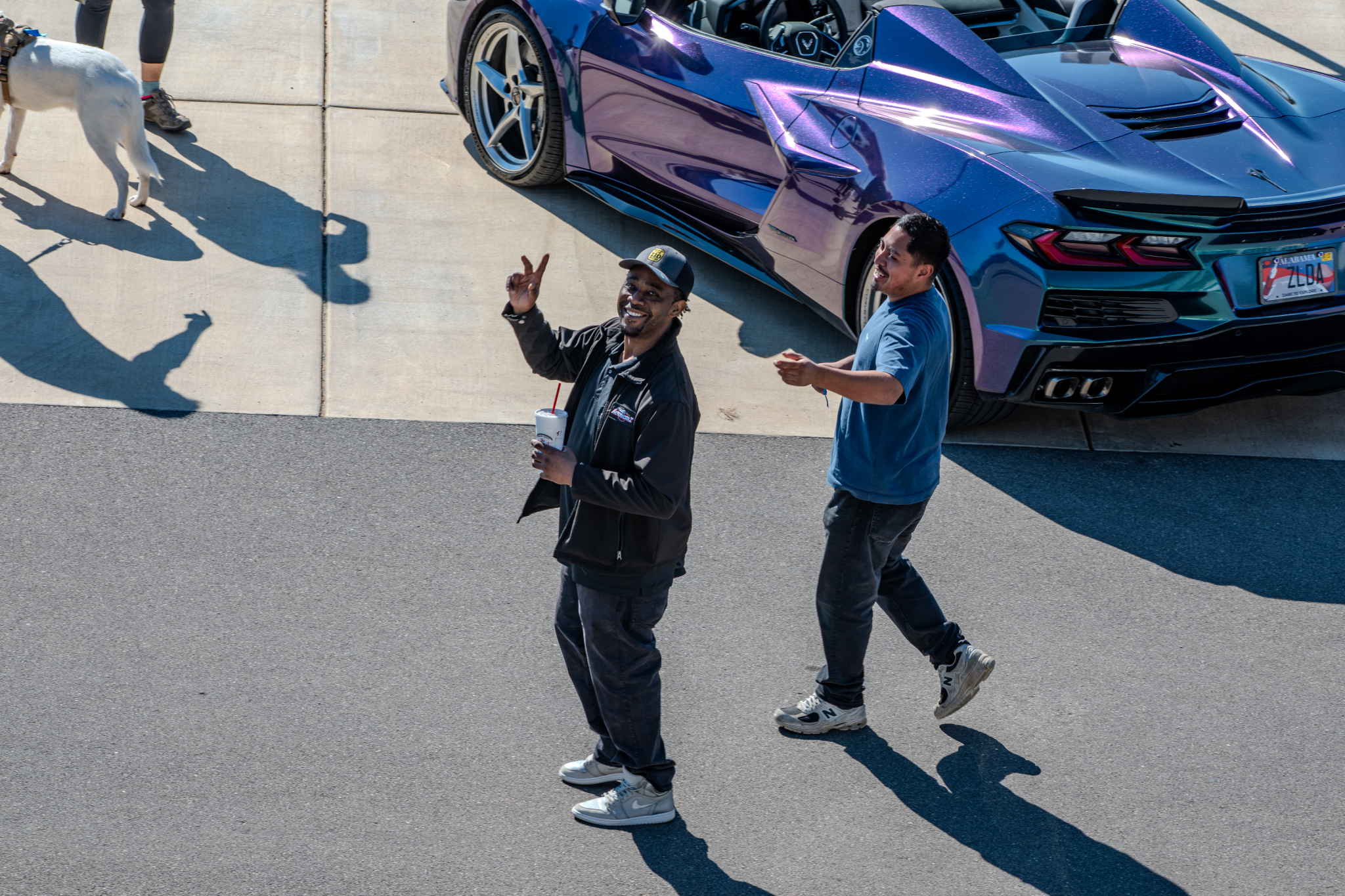 Car show picture