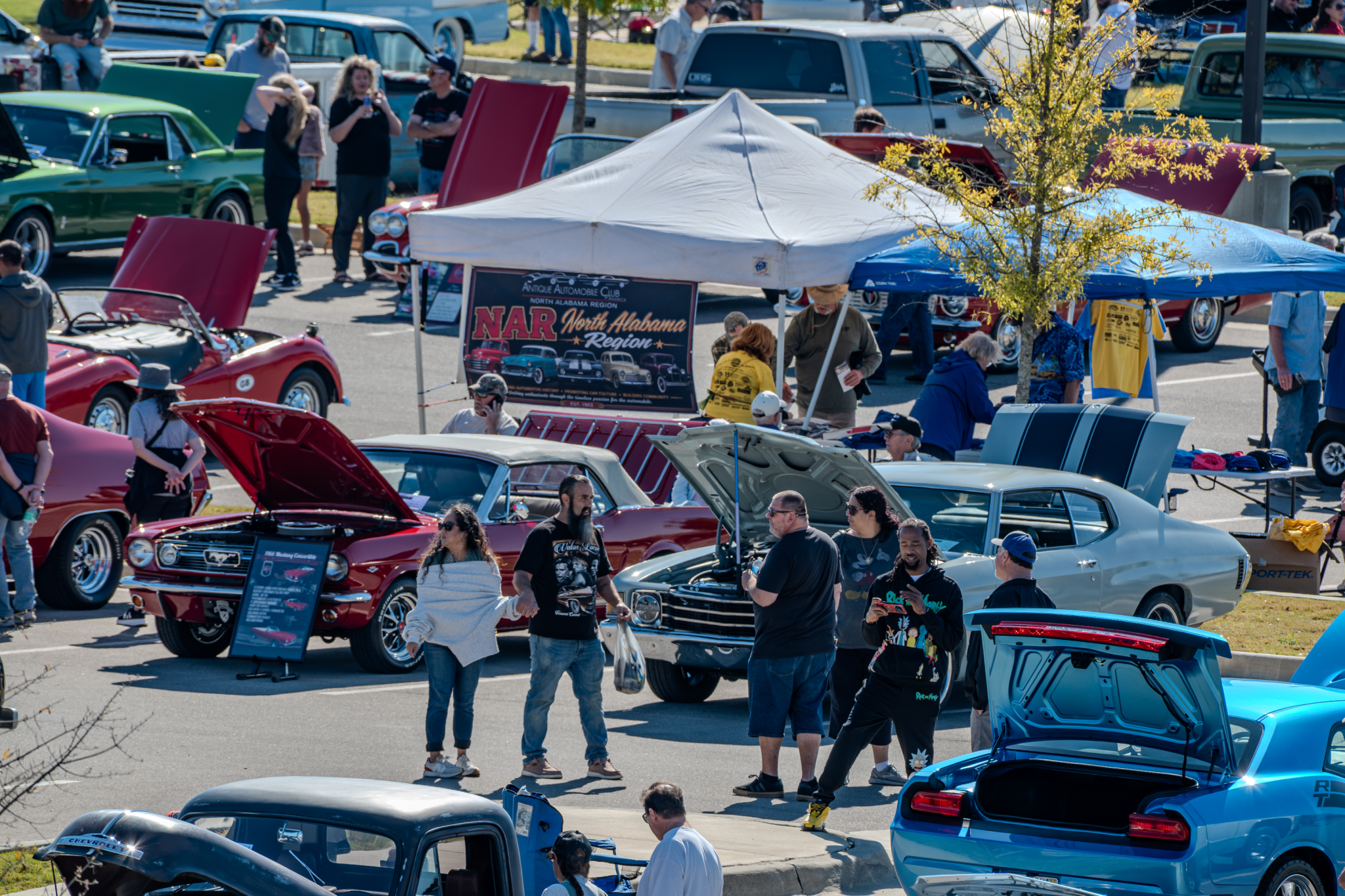 Car show picture
