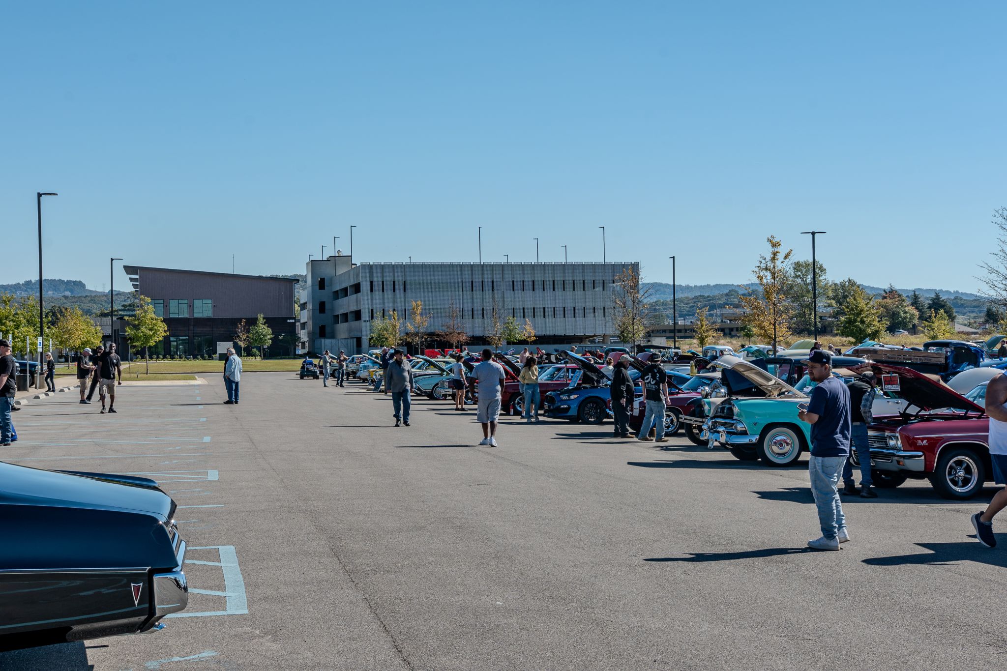 Car show picture