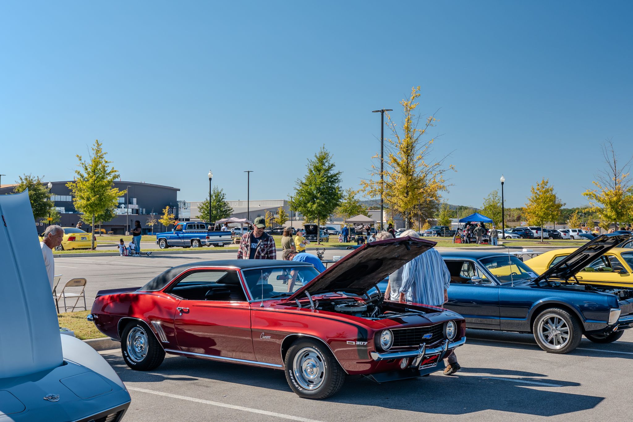 Car show picture