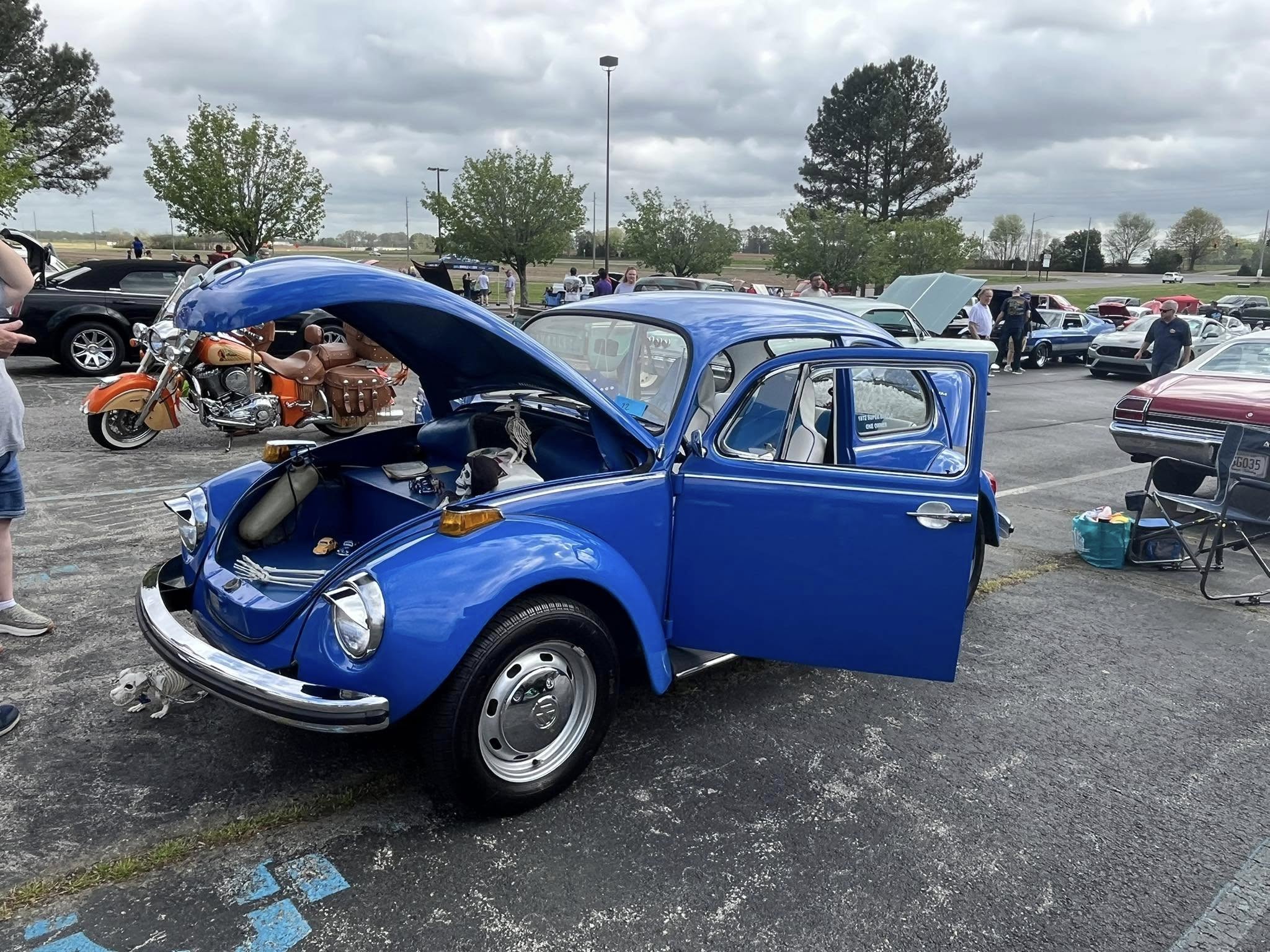 Car show picture