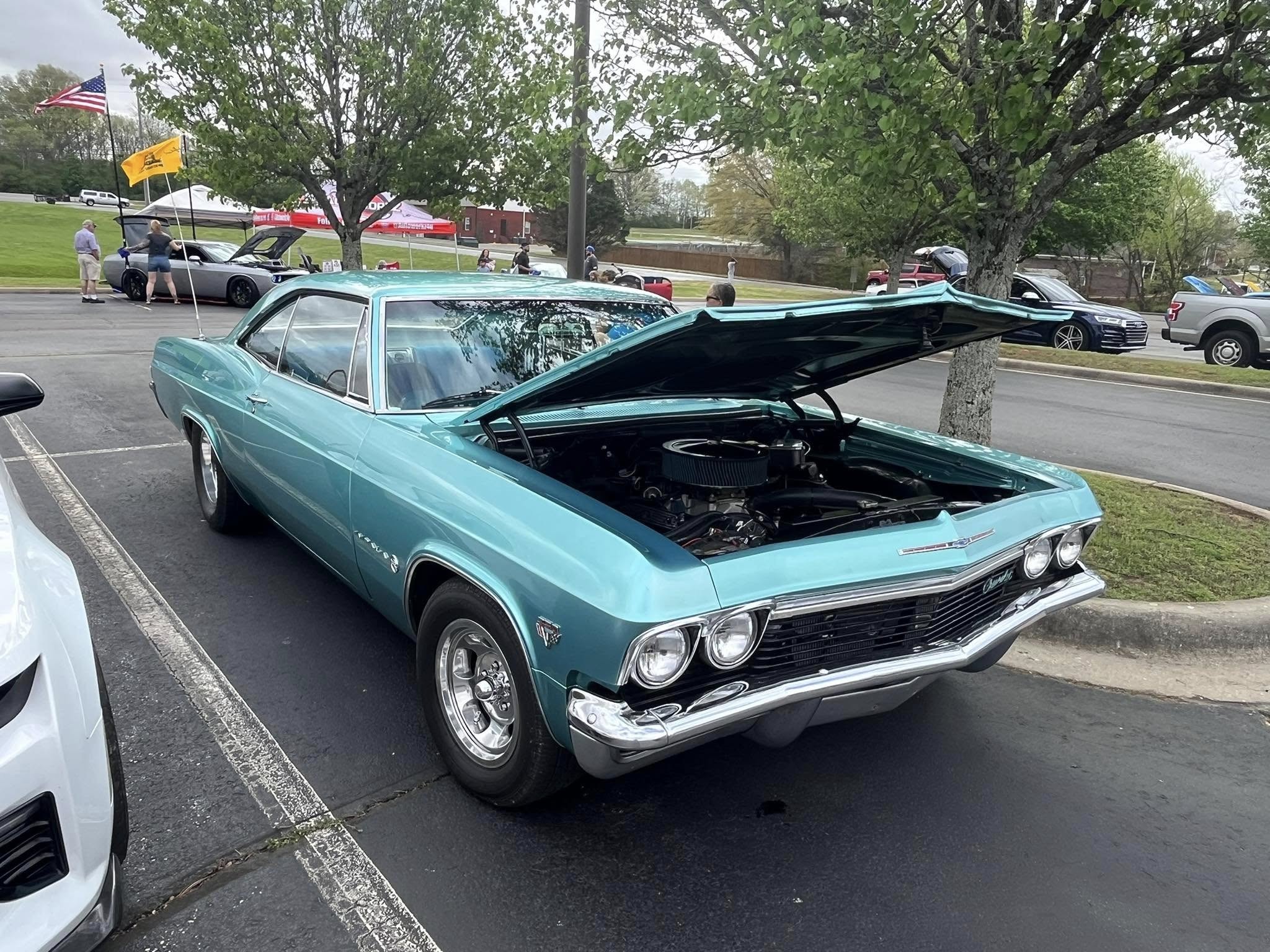 Car show picture
