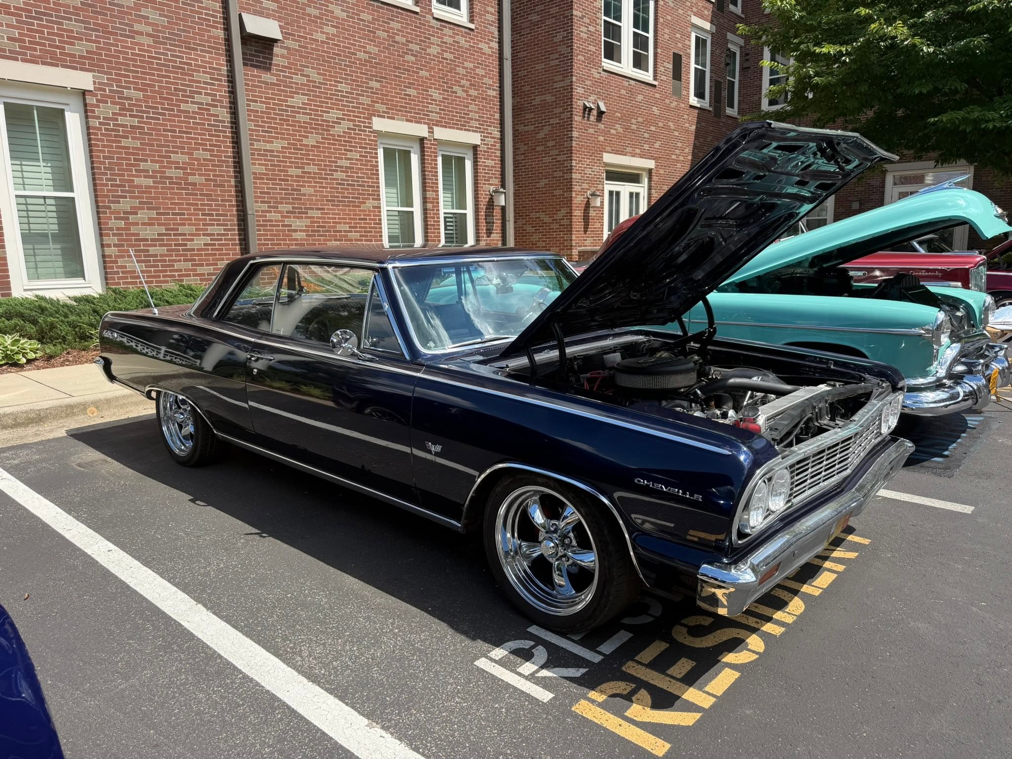 Car show picture