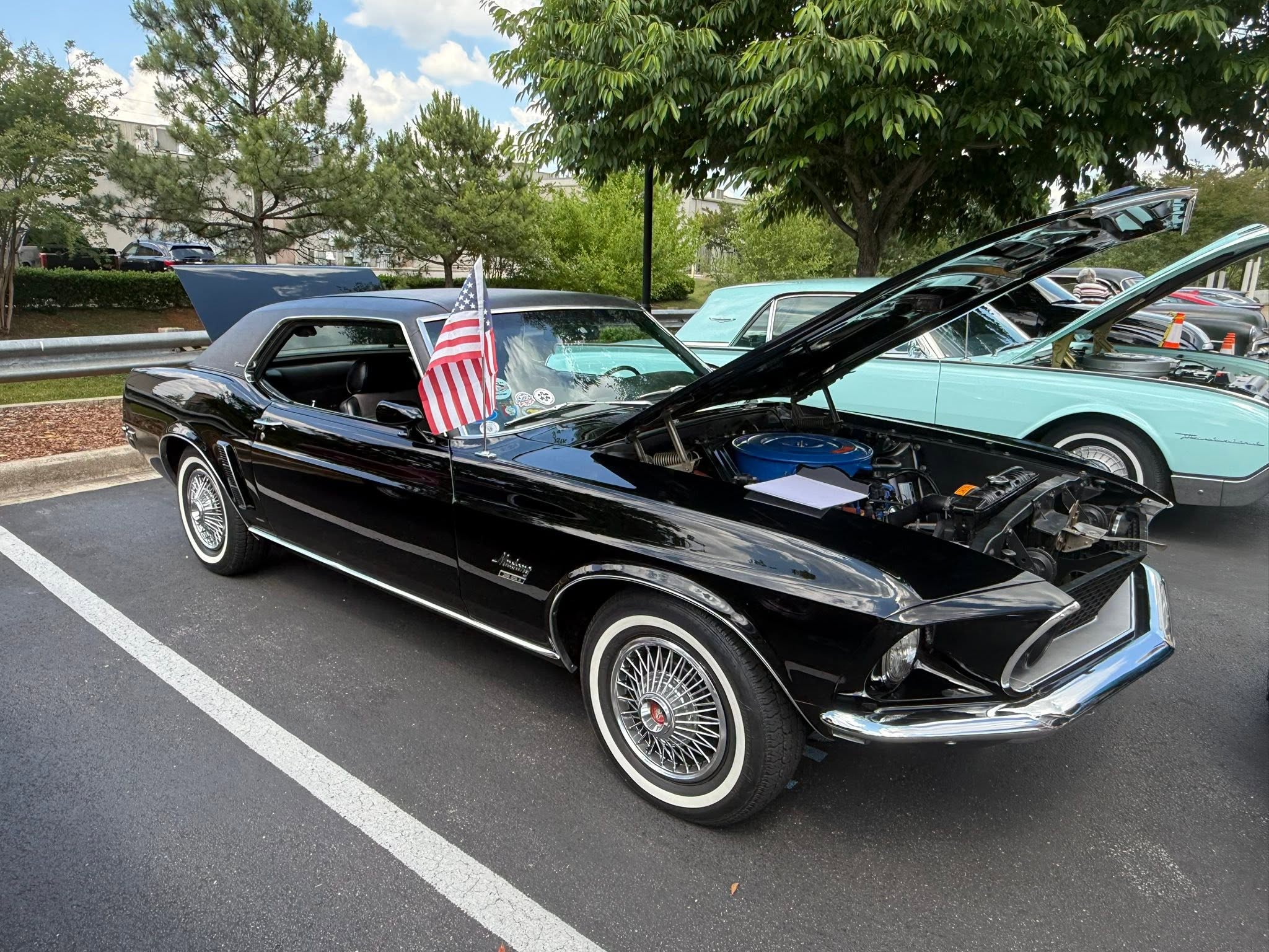 Car show picture
