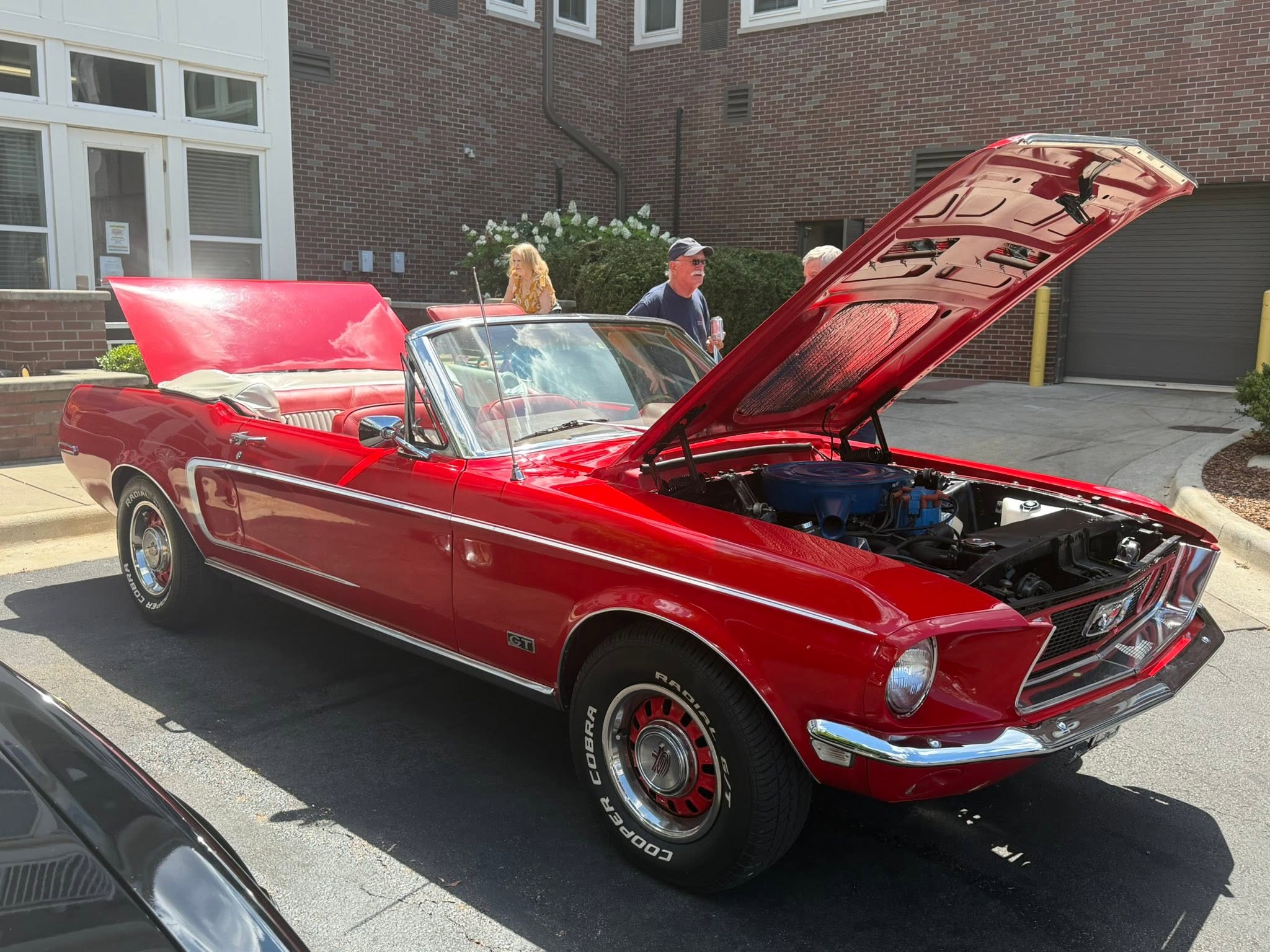 Car show picture