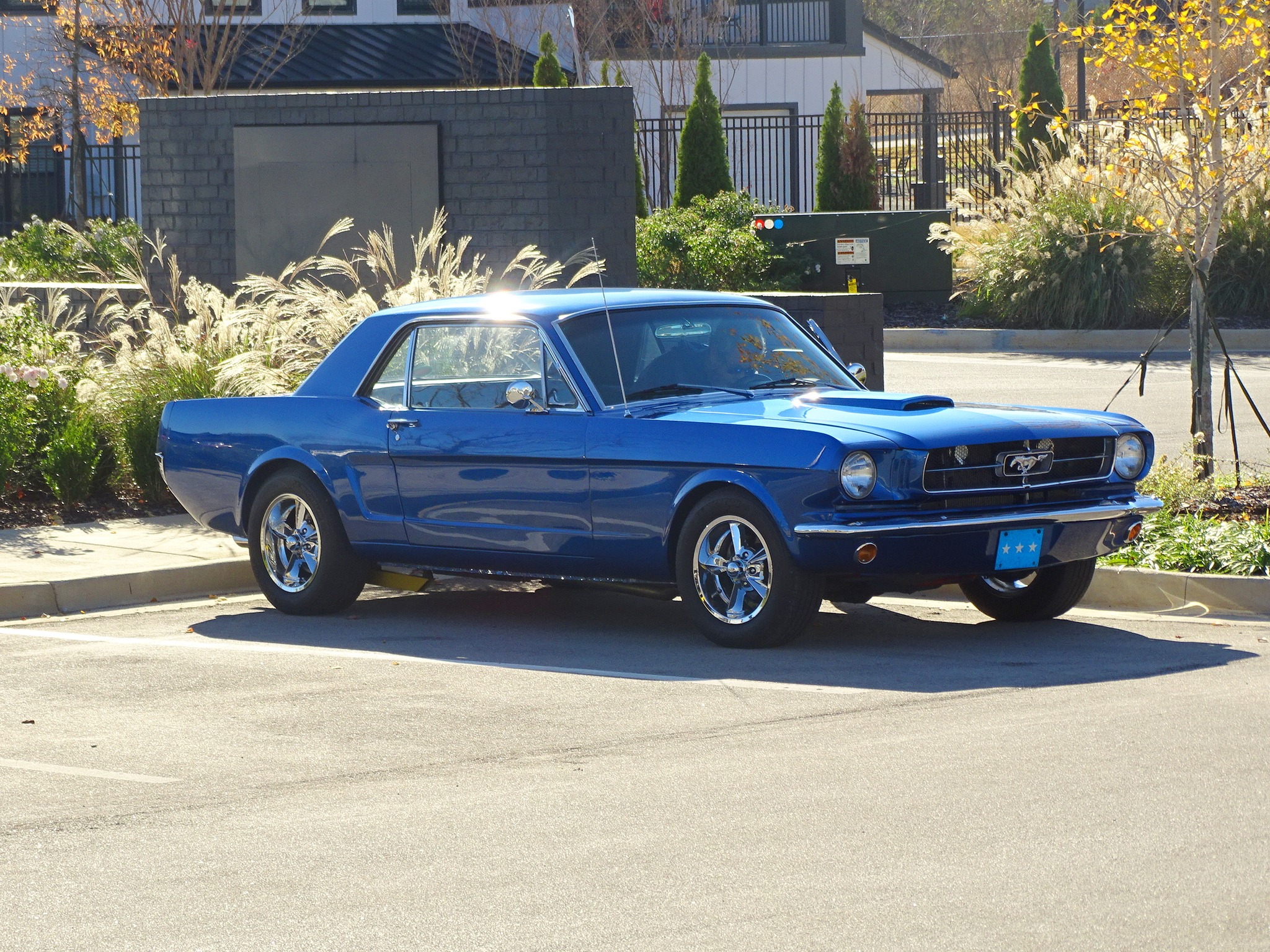 Car show picture