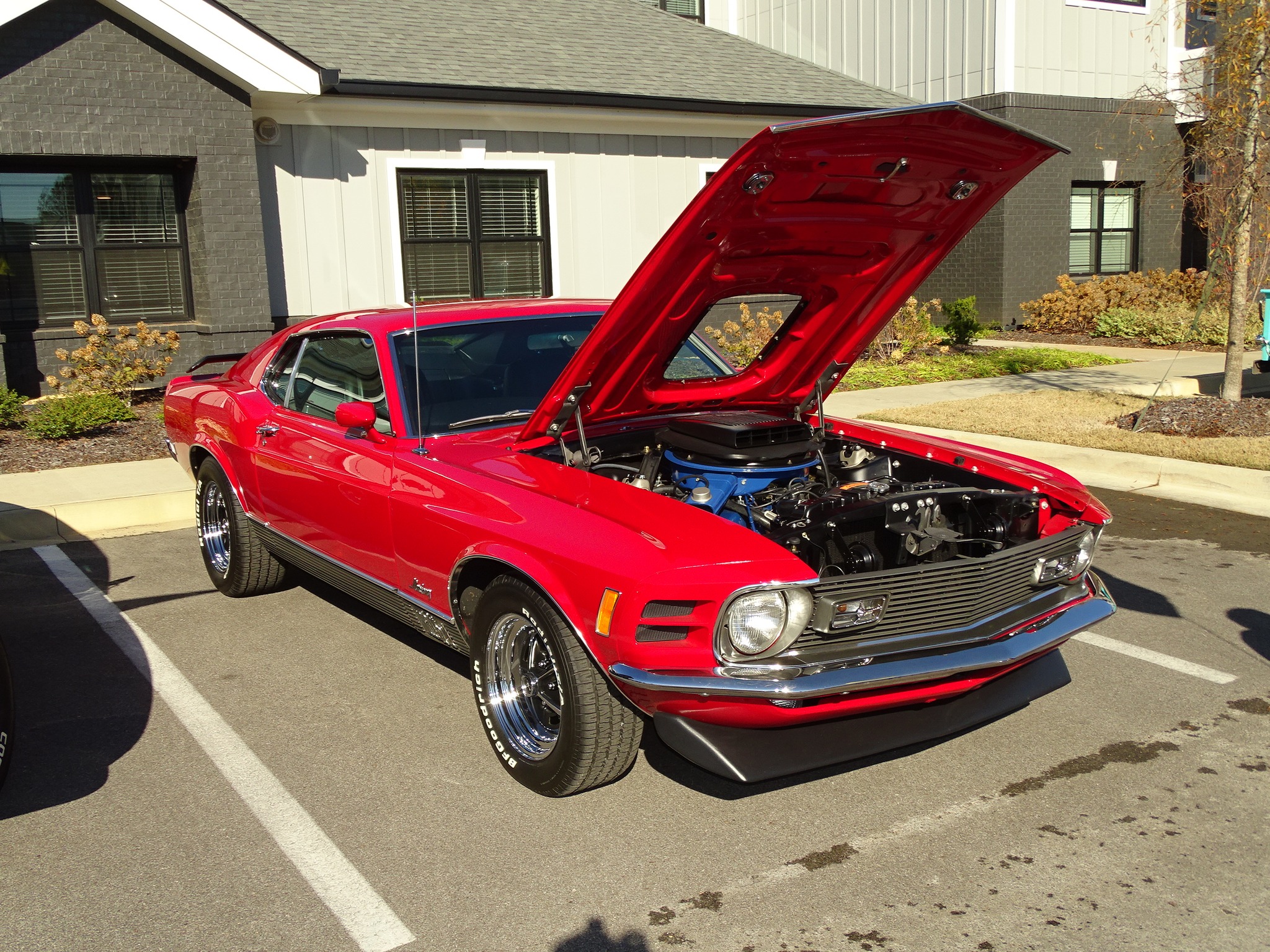 Car show picture