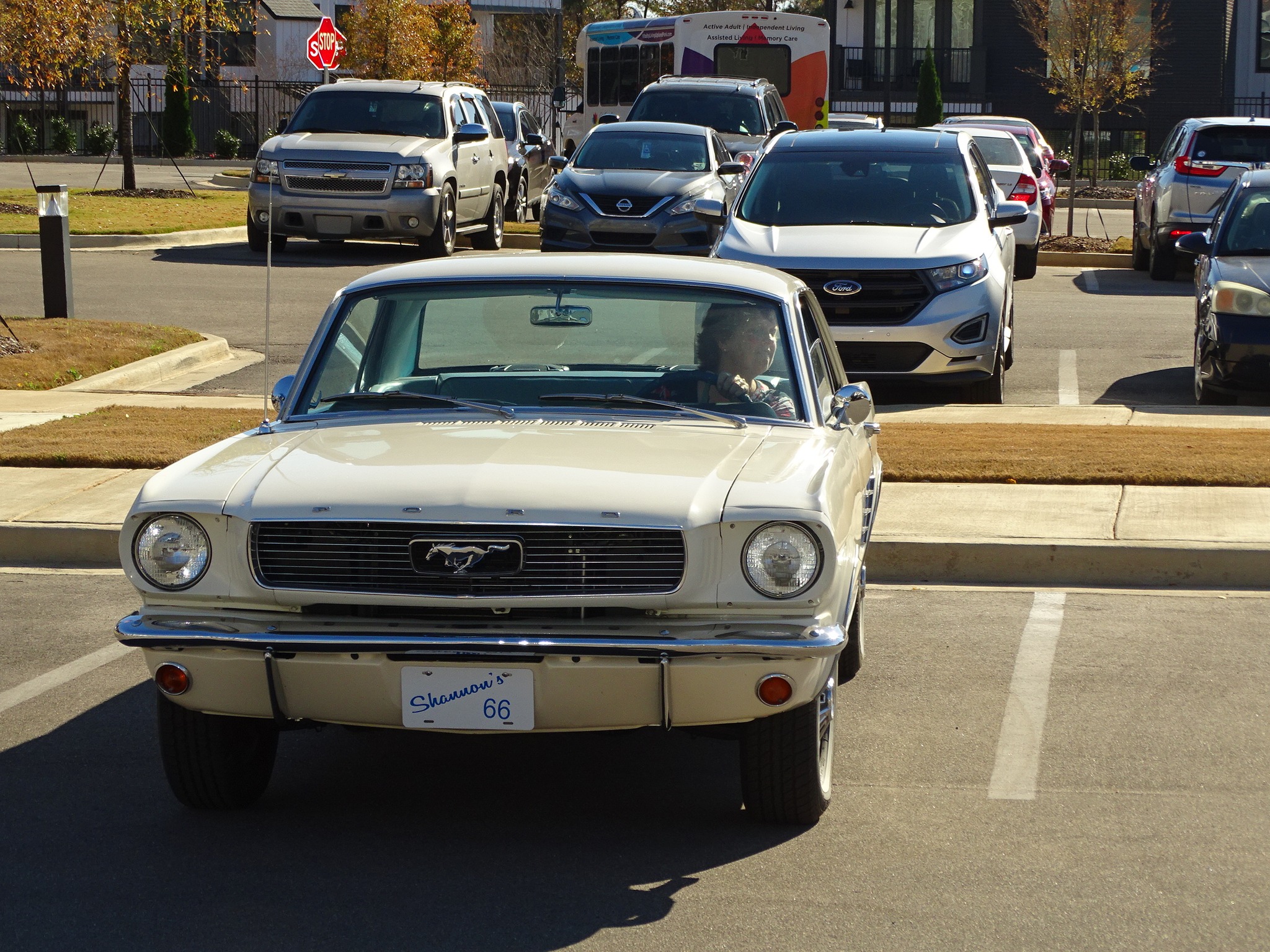 Car show picture