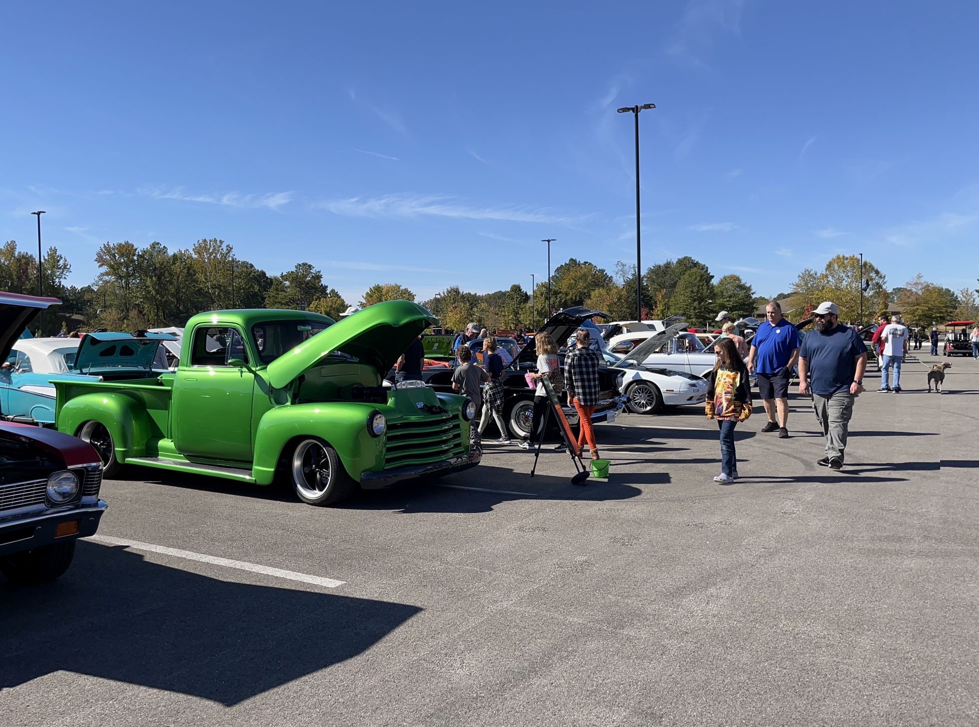 Car show picture